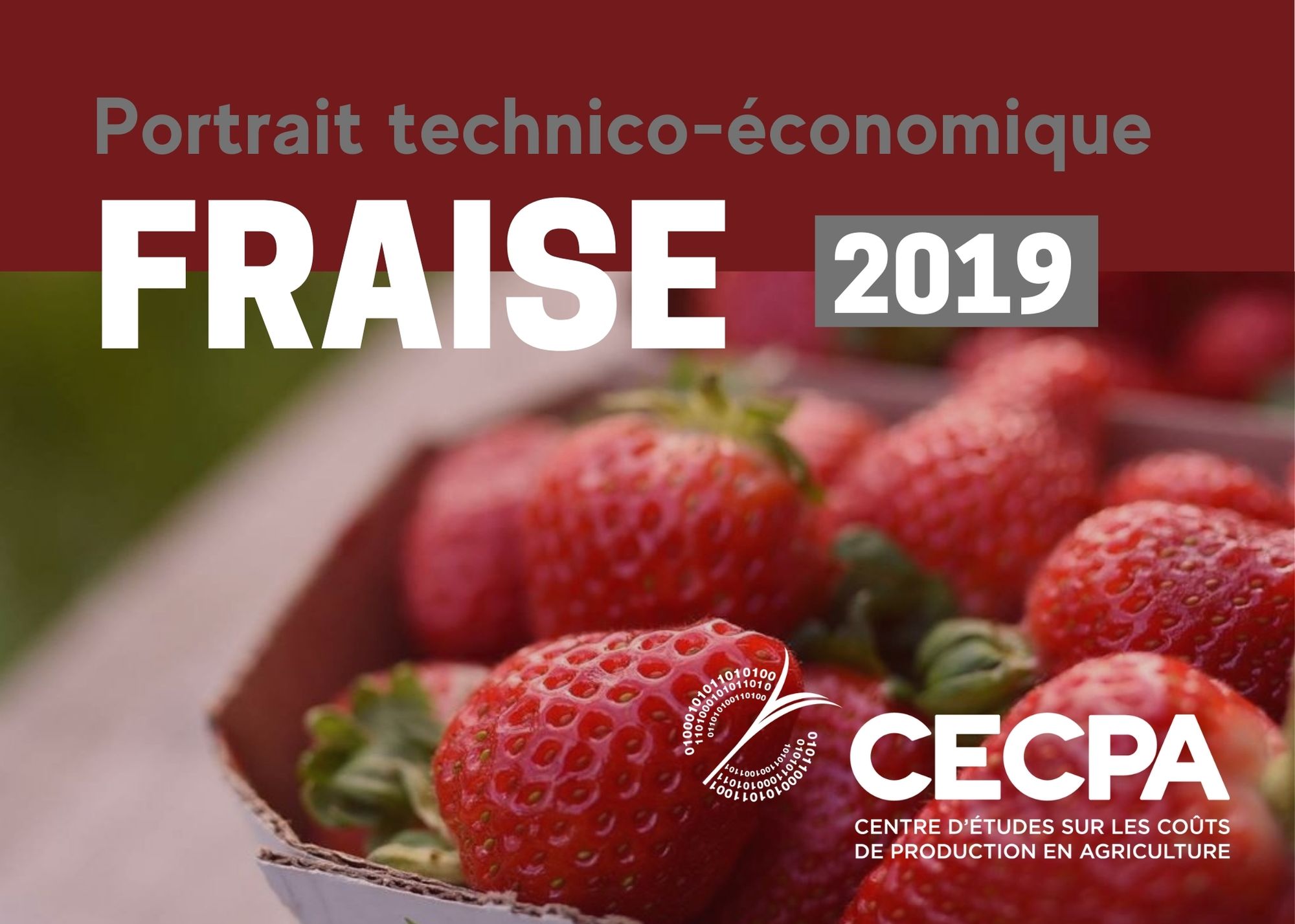 Inf. complémentaires : Portrait technico-économique - Fraises 2019